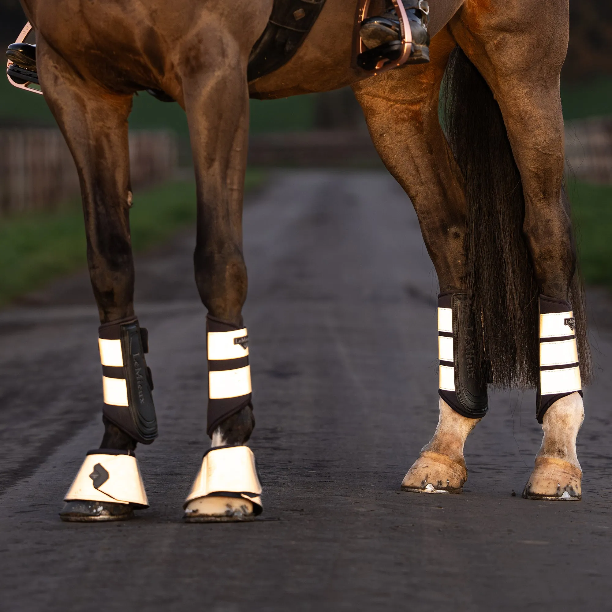 Lemieux Grafter Brushing Boots - Reflective